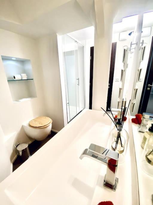 *Victoria Plaza* Loft Au Coeur De Vichy Apartment Luaran gambar